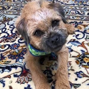 Meet your Posher, Eileen